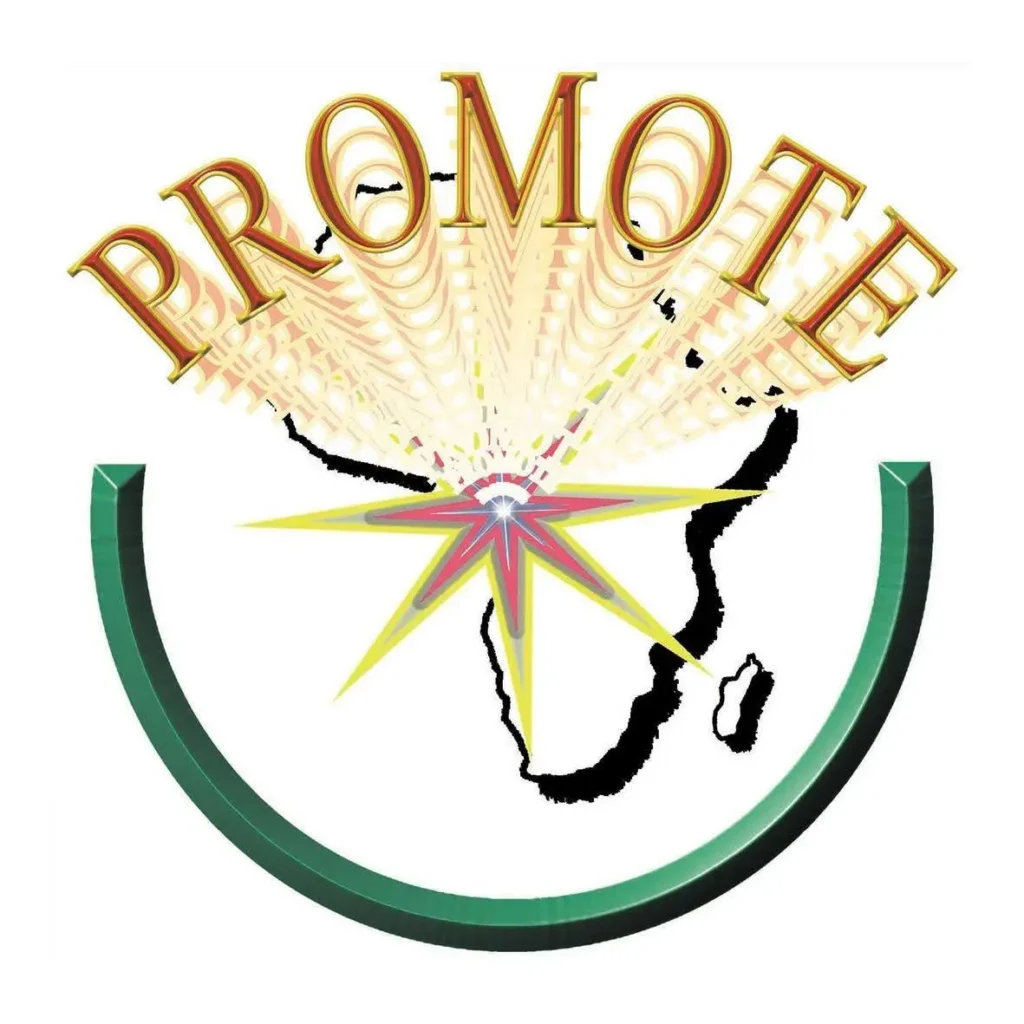 Cameroun : des interrogations persistent sur l’impact économique de la Foire Promote